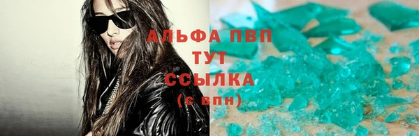 дмт Касимов