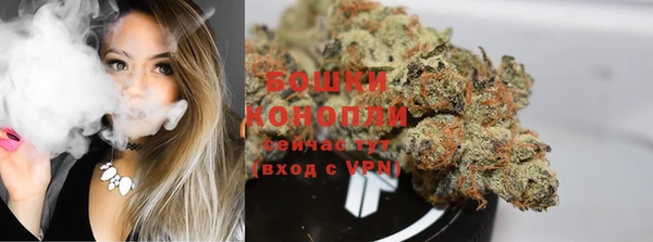 индика Ачинск