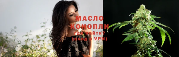 сатива Киренск