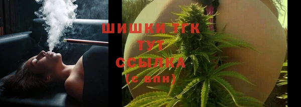 дмт Касимов