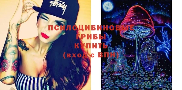 ГАЛЛЮЦИНОГЕННЫЕ ГРИБЫ Карталы
