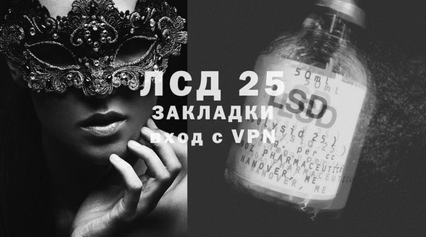 ГАЛЛЮЦИНОГЕННЫЕ ГРИБЫ Карталы