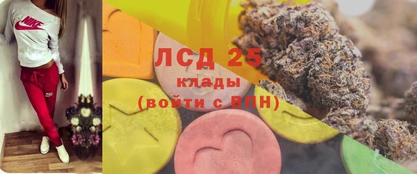 дмт Касимов